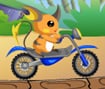 Pokemon Bike Adventure