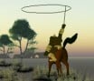 Nimian Hunter