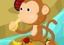 Jogar Chomping Chimp - Puzzle