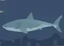 Jogar Mad Shark