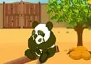 Jogar Panda Escape 2