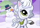 Snowy Pony