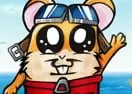 Jogar Stunt Hamster - Infantis