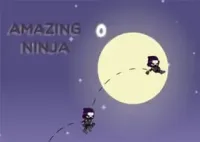 Amazing Ninja