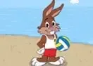 Jogar Beach Volleyball Game