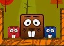 Beaver Blocks Level Pack