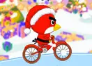 Birdy Bicycle