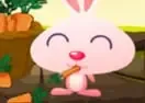 Jogar Bunny on Farm - Agilidade