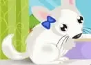 Jogar Chinchilla PetCare - Infantis