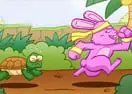 Bunny And Turtle