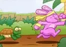Jogar Bunny And Turtle