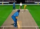 Jogar Cricket Championship 2008 - Esportes