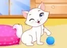 Jogar Cute Kitten Daycare