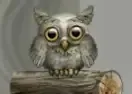 Jogar Cute Owl 2