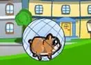 Downhill Hamsterball