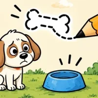 Draw to Help