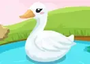 Jogar Duck Care - Agilidade