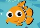 Finding Nemo Sea Safari