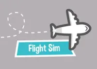 Flight Sim
