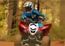 Jogar Forest ATV Challenge