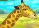 Jogar Giraffe Zoo - Agilidade
