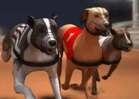Jogar Greyhound Racing - Corrida