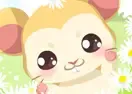 Jogar Hamster Care - Agilidade