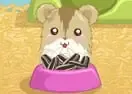 Jogar Hamster Love - Agilidade