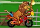 Jogar Lion Ride