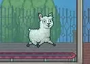 Jogar Llama in Your Face!