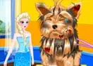 Elsa’s Dog Doctor