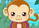 Jogar Monkey Care