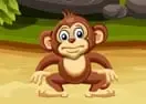 Jogar Monkeys Balance
