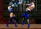 Mortal Kombat Karnage