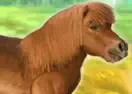 Jogar My Dear Pony - Animais