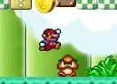 New Mario Flash