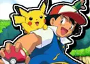 Pokemon Catch Journey