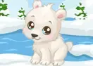 Jogar Polar Bear Care - Agilidade
