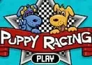 Jogar Puppy Racing