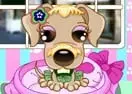 Jogar Puppy Stylist - Meninas