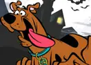 Run Run Scooby