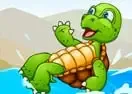 Jogar Save Turty