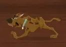 Jogar Scooby-Doo. Hallway Of Hijinks - Desenhos Animados