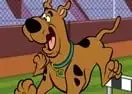 Jogar Scooby-Doo Hurdle Race - Desenhos Animados