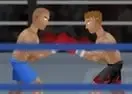 Side Ring Knockout