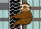 Slippery Sloth