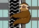 Jogar Slippery Sloth - Agilidade