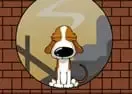 Jogar Smart Dogs - Agilidade