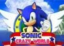 Sonic Crazy World