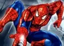 Spiderman Rush